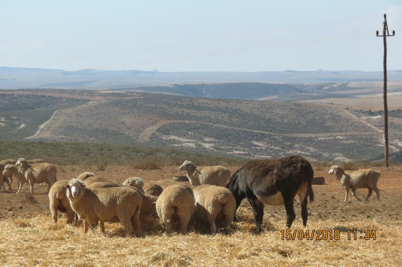 Melk Houte Bosch Guest Farm Ξενοδοχείο Swellendam Εξωτερικό φωτογραφία